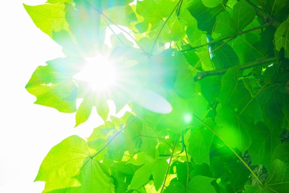 季節の変わり目に肌荒れする原因